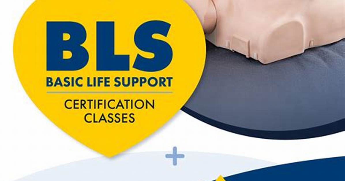 How Much Is a Bls Class?