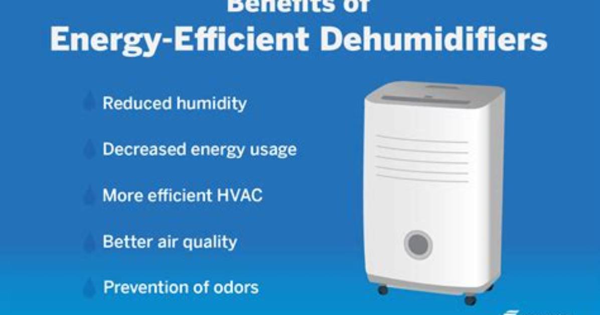 How Much Is a Portable Dehumidifier?