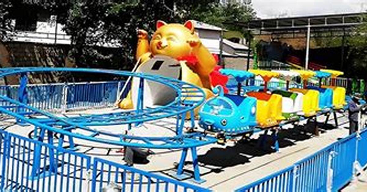 How Much Is a Small Roller Coaster
