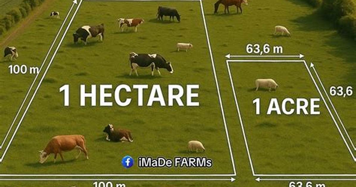 How Much Is One Acre