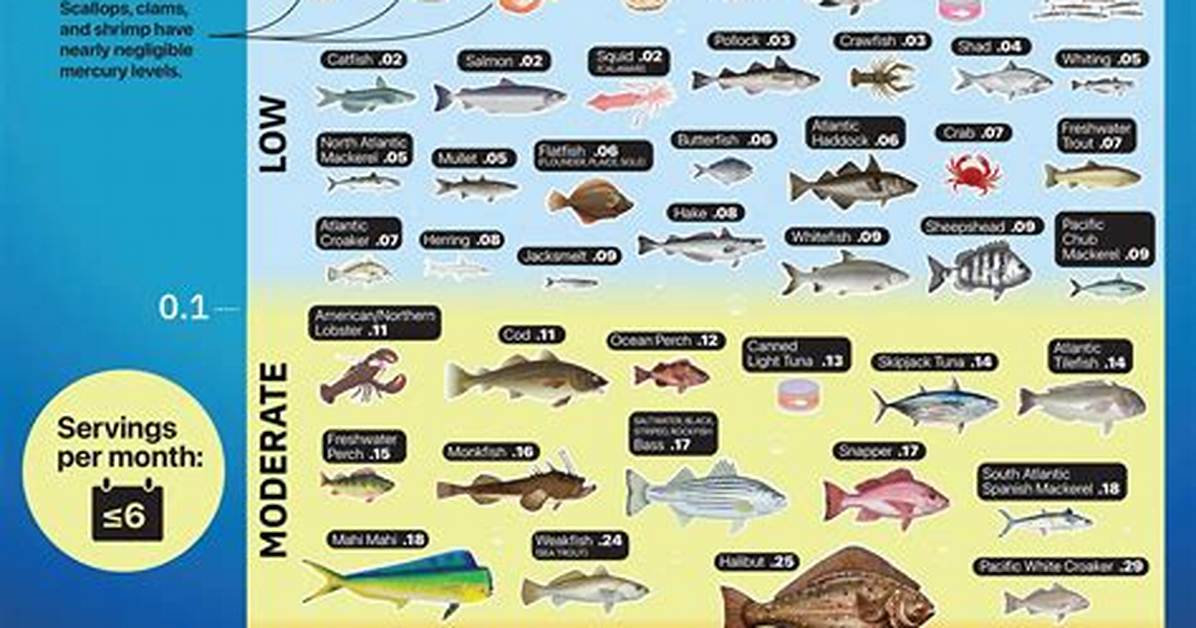 How Much Mercury Is in Tilapia?