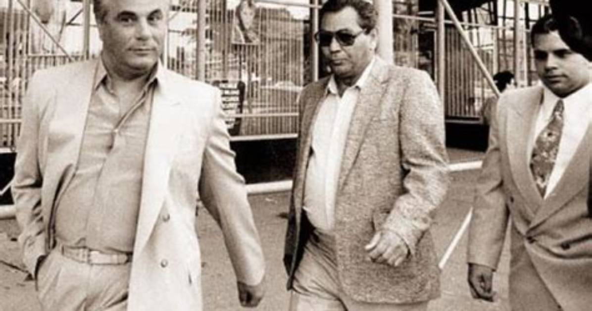 How Much Money Did Sammy the Bull Make? – Celebrity