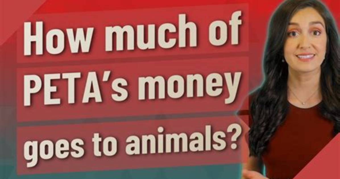 How Much Money Does Peta Make?