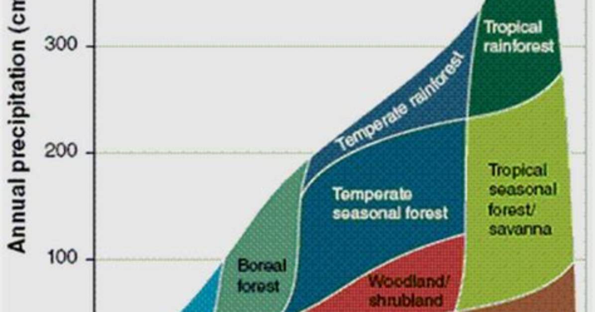 How Much Precipitation Does the Sitkan Biome Receive on Average?