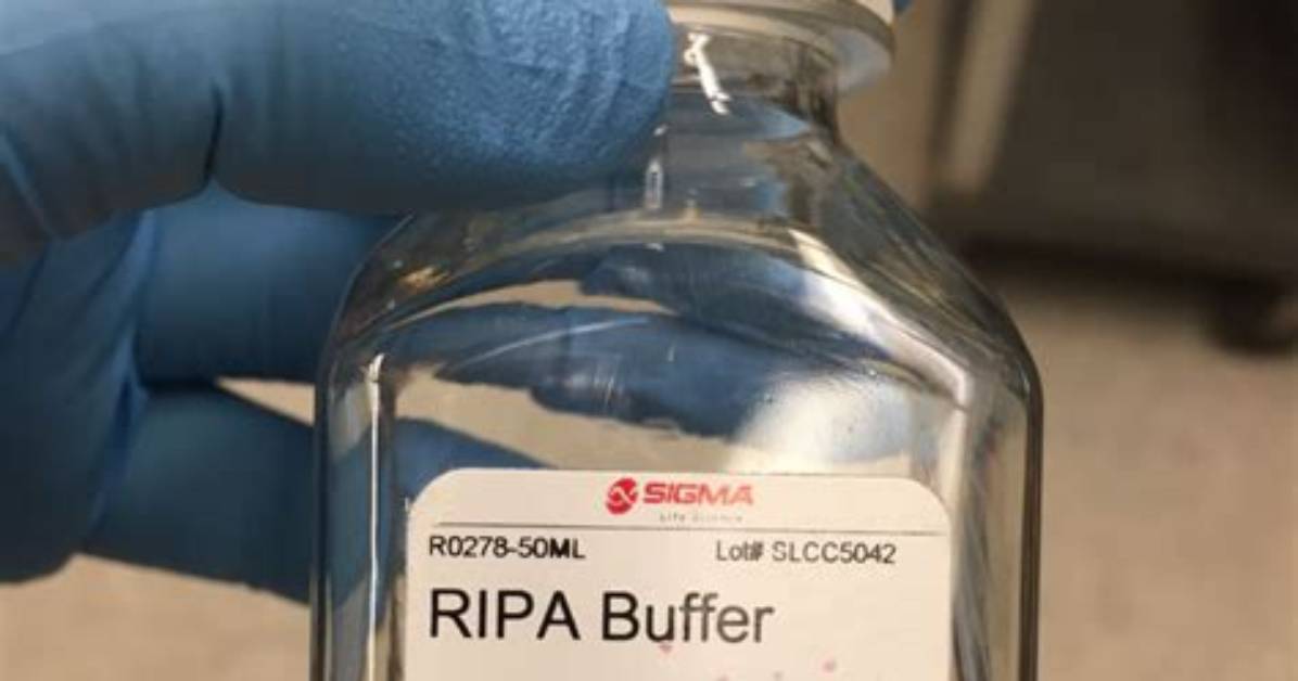 How Much Ripa Buffer to Use?