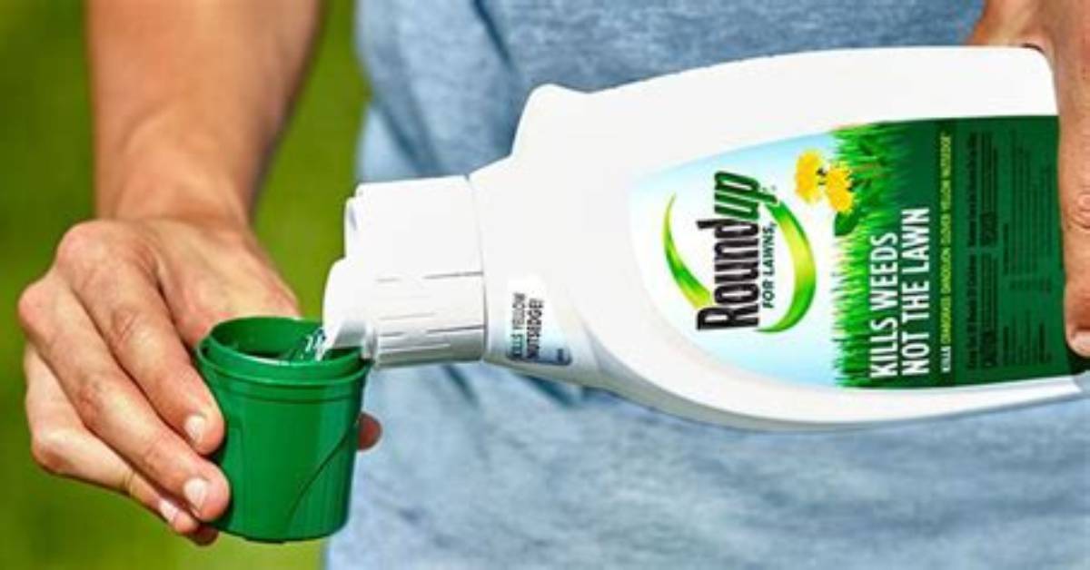 How Much Roundup Do You Put in a Knapsack Sprayer