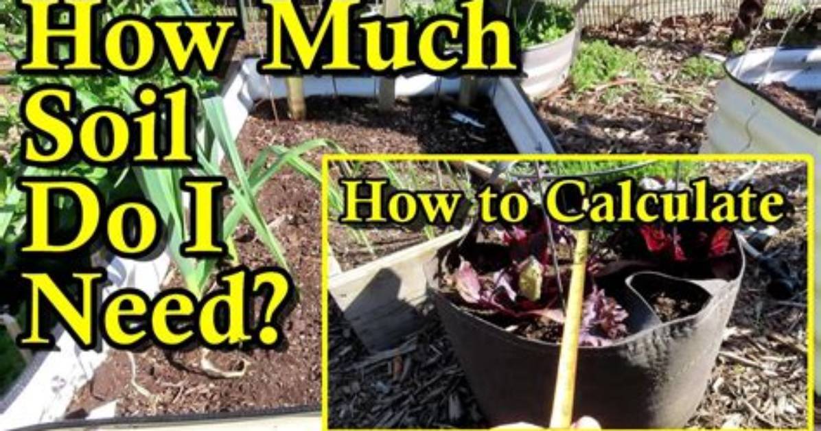 How Much Soil Do I Need for a Raised Bed