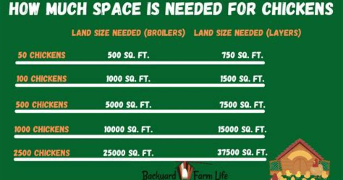 How Much Space Do I Need for a Windows 10 Backup?