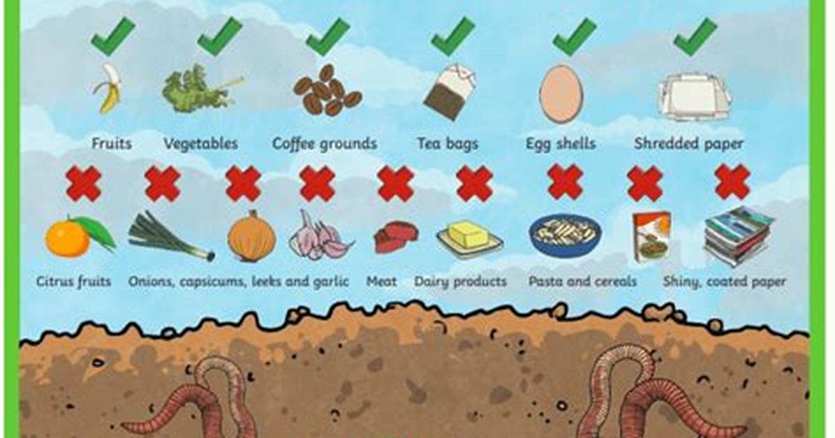 How Much Space Do Worms Need