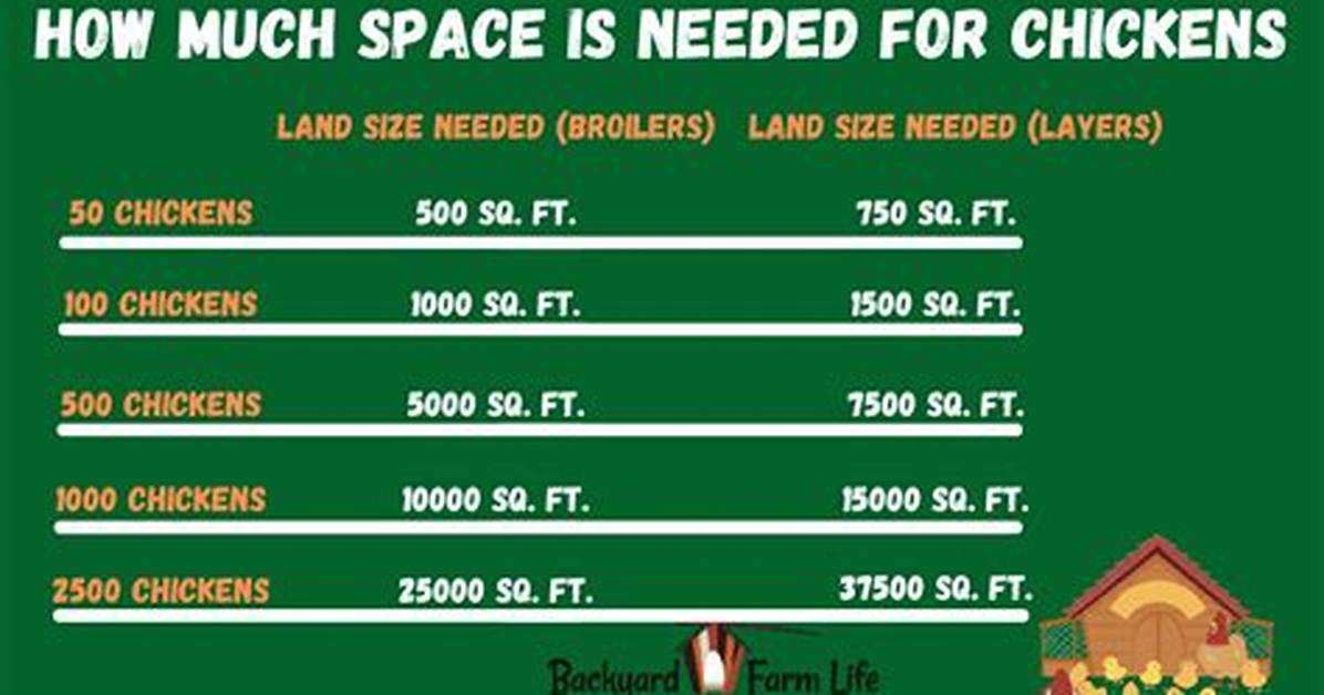 How Much Space Is Needed for a 7Ft Pool Table