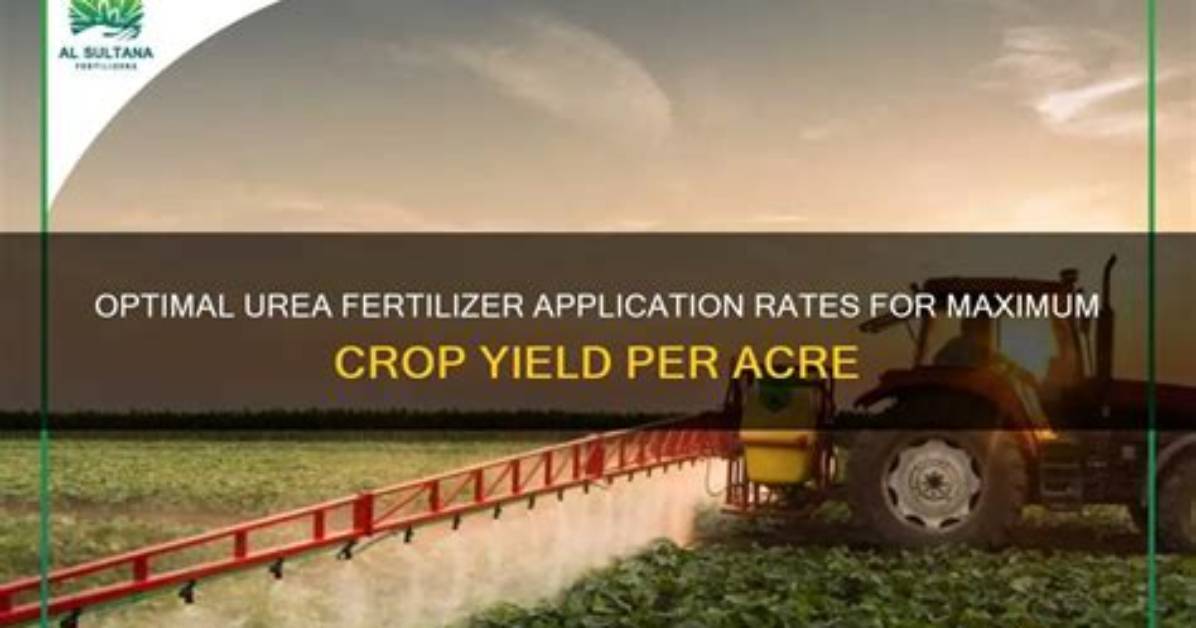 How Much Urea Do You Use per Acre