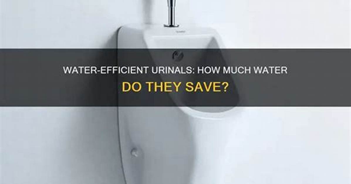 How Much Water Does a Urinal Flush Use