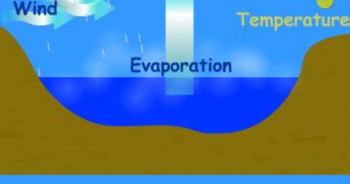 How Much Water Evaporates - Lisbd-Net. Com