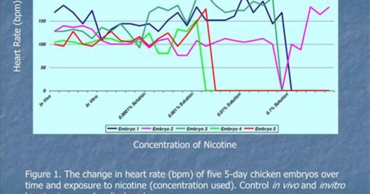How Nicotine Increases Heart Rate?