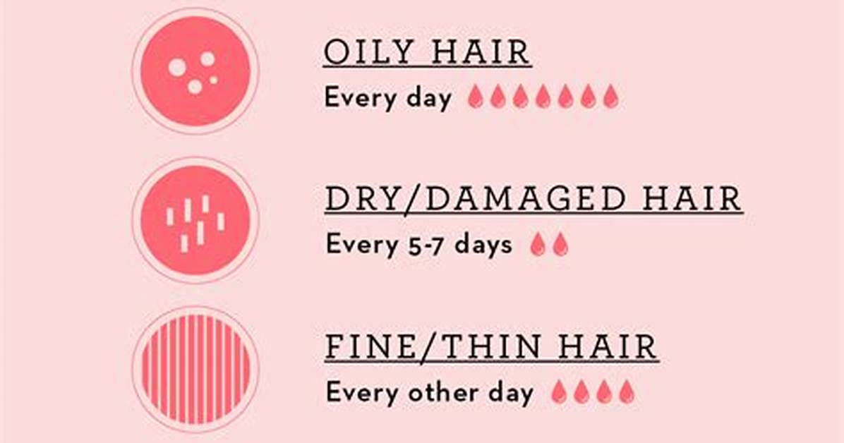 How Often Do You Wash a Hairless Cat?
