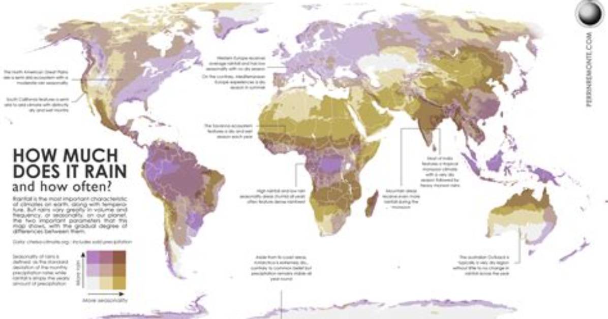 How Often Does It Rain in the Sahara Desert
