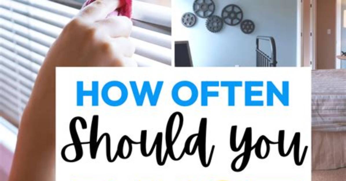 How Often Should You Dust?