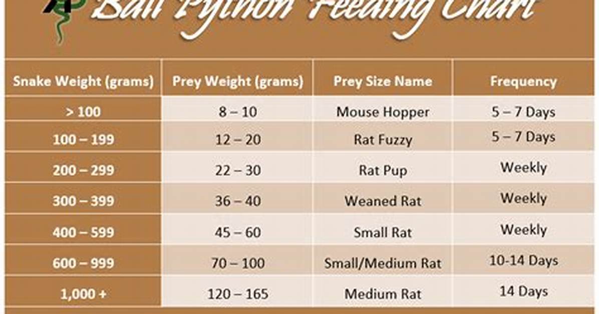 How Often to Feed Ball Python