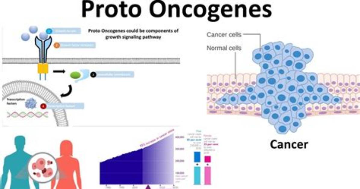 How Oncogenes Are Activated?