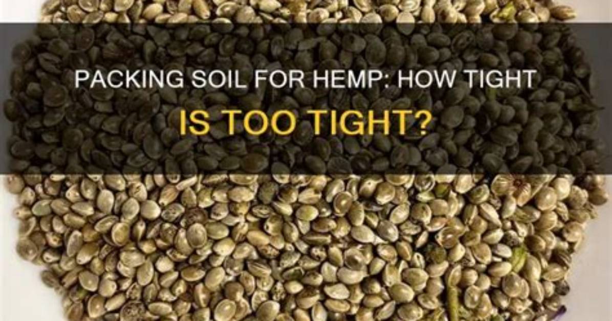 How Packed Should Soil Be?