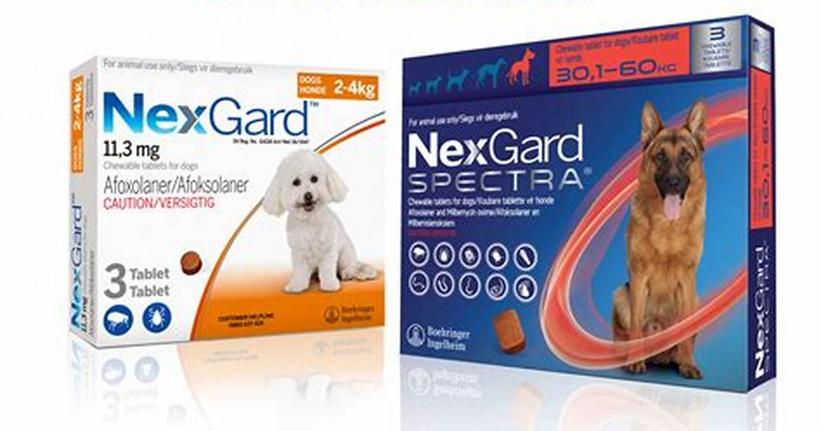 How Quickly Does Nexgard Work