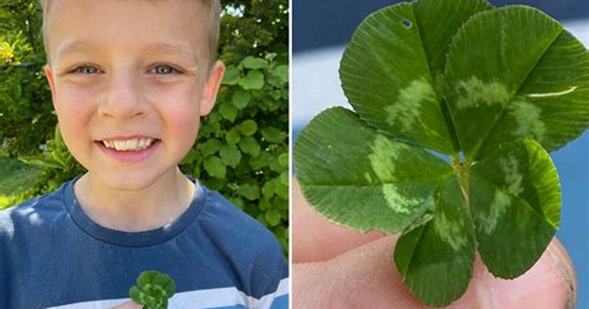 How Rare Is a 5 Leaf Clover?