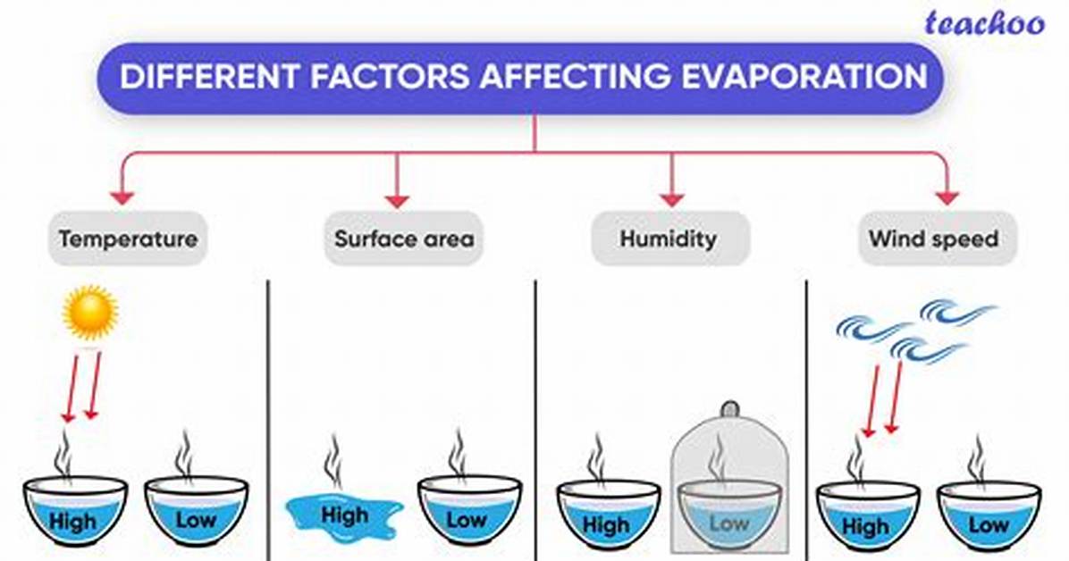 How Readily a Liquid Will Evaporate?