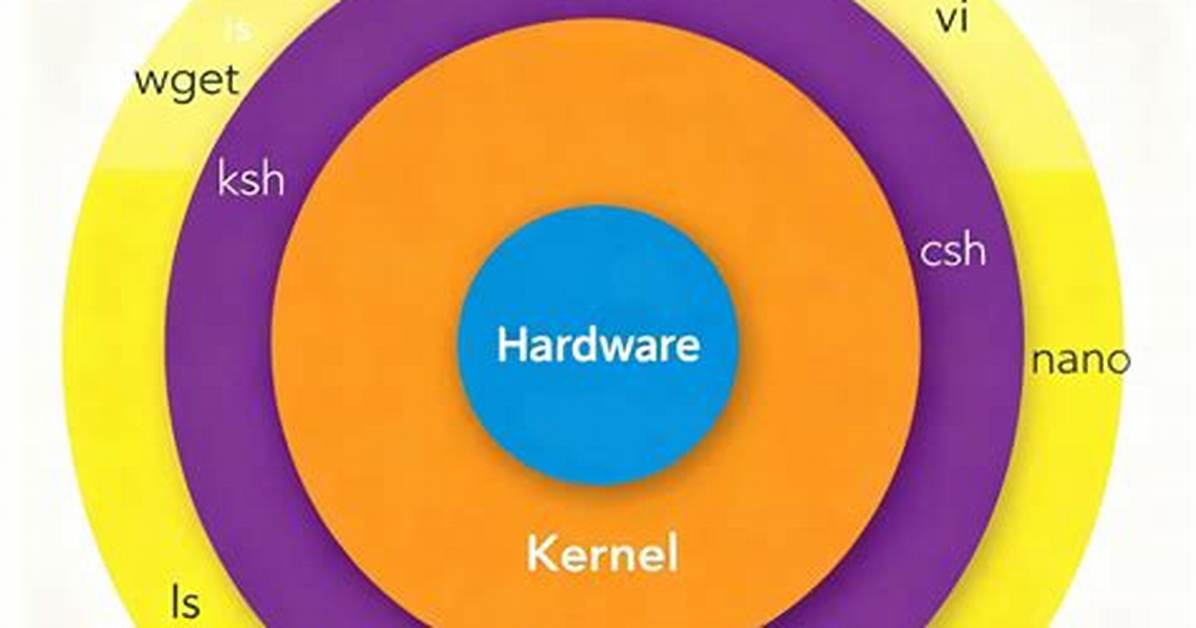 How Shell Works in Linux?