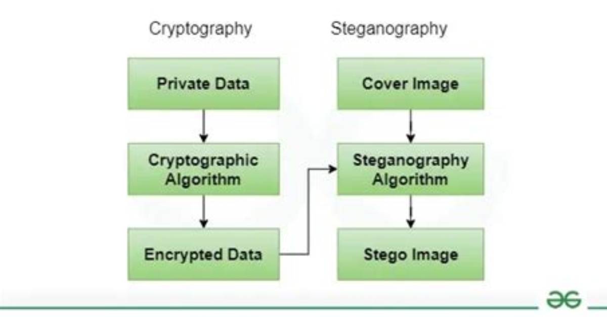 How Steganography Different from Cryptography?