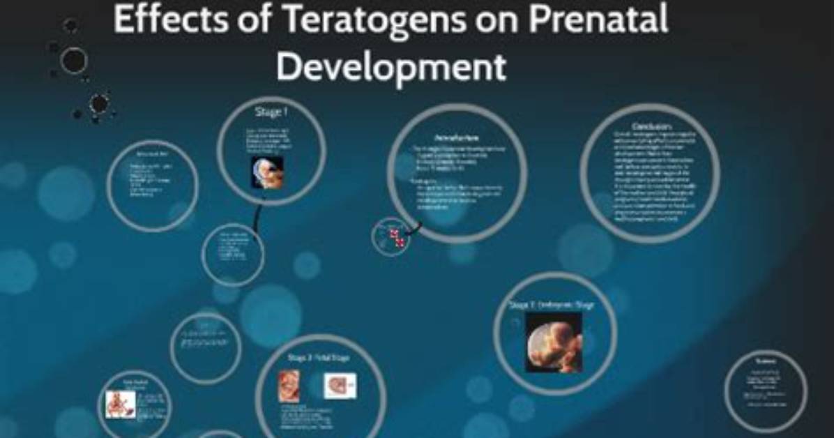 How Teratogens Influence Prenatal Development?