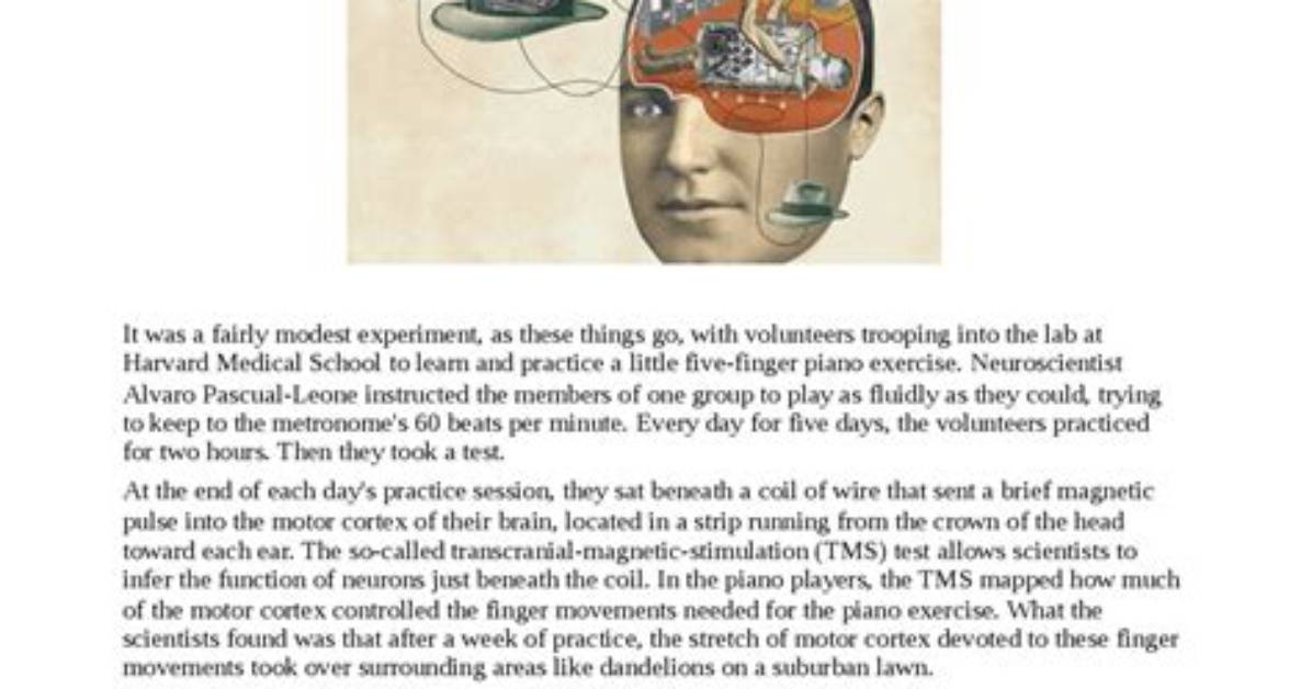 How the Brain Rewires Itself?