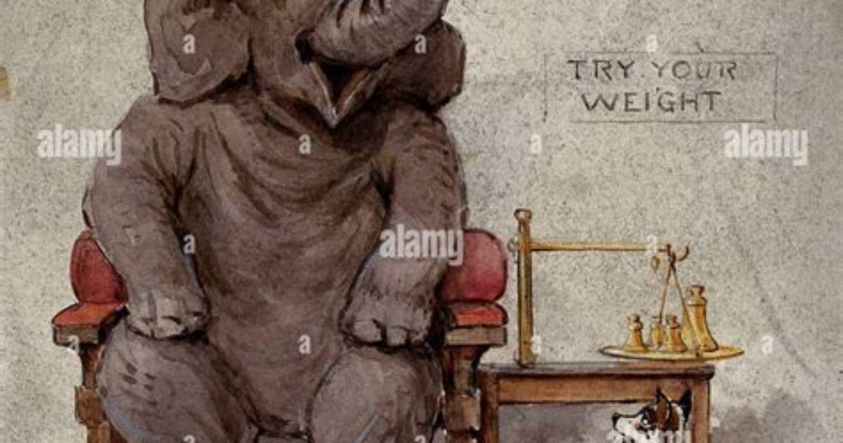 How They Weighed the Elephant?