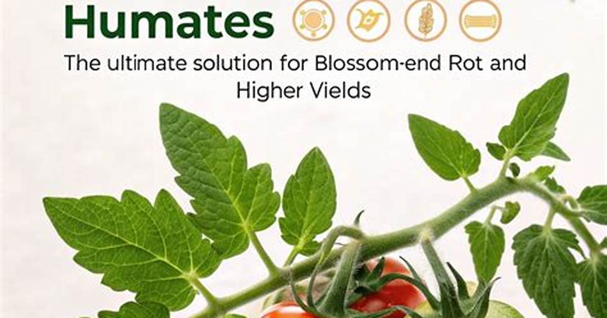 How to Apply Humates?