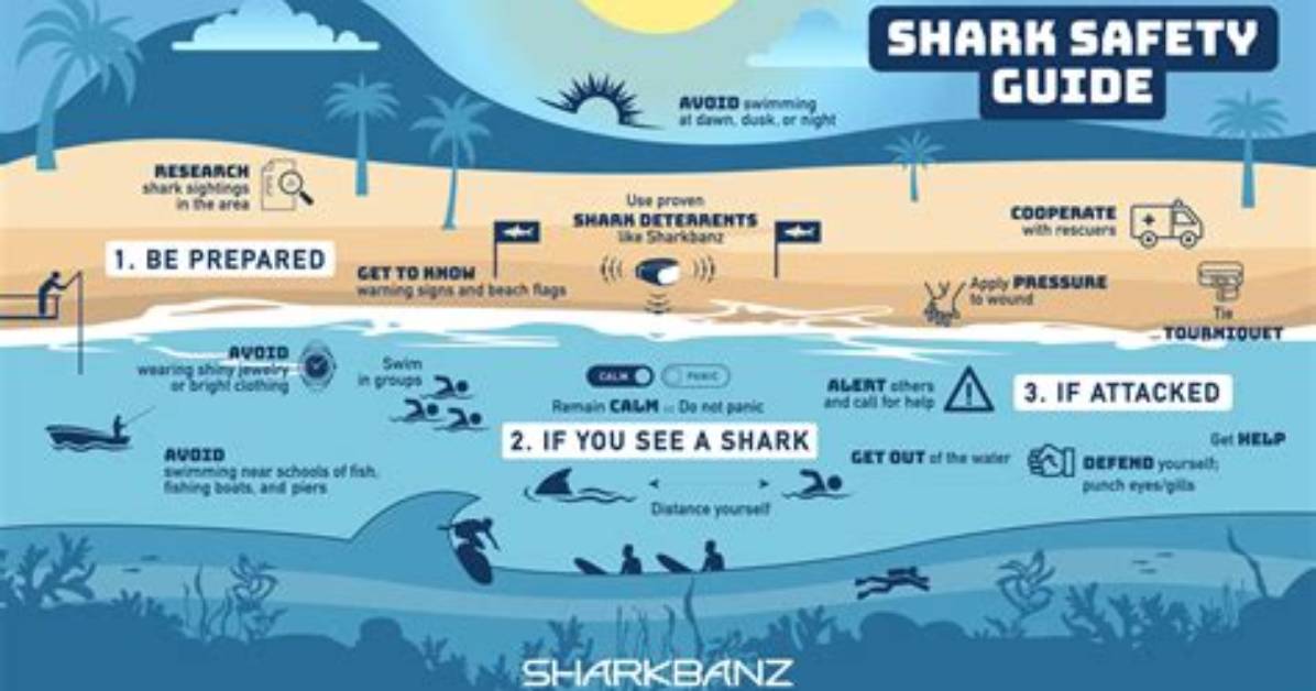 How to Avoid Shark Attacks