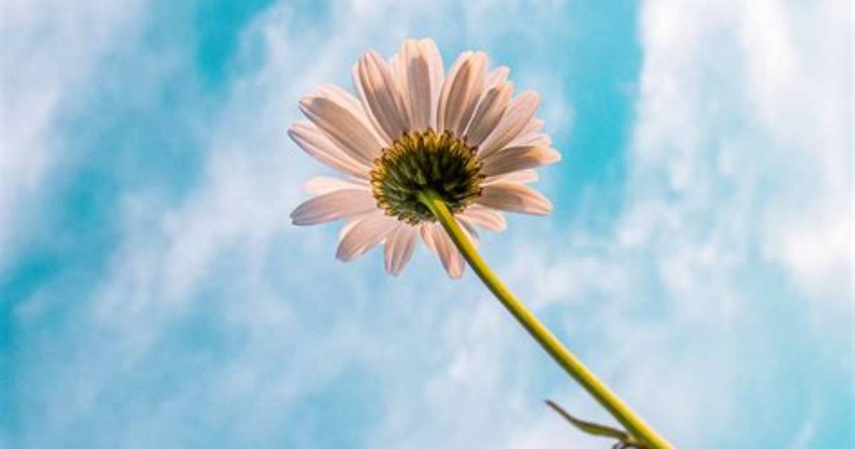 How to Be Optimistic About the Future?