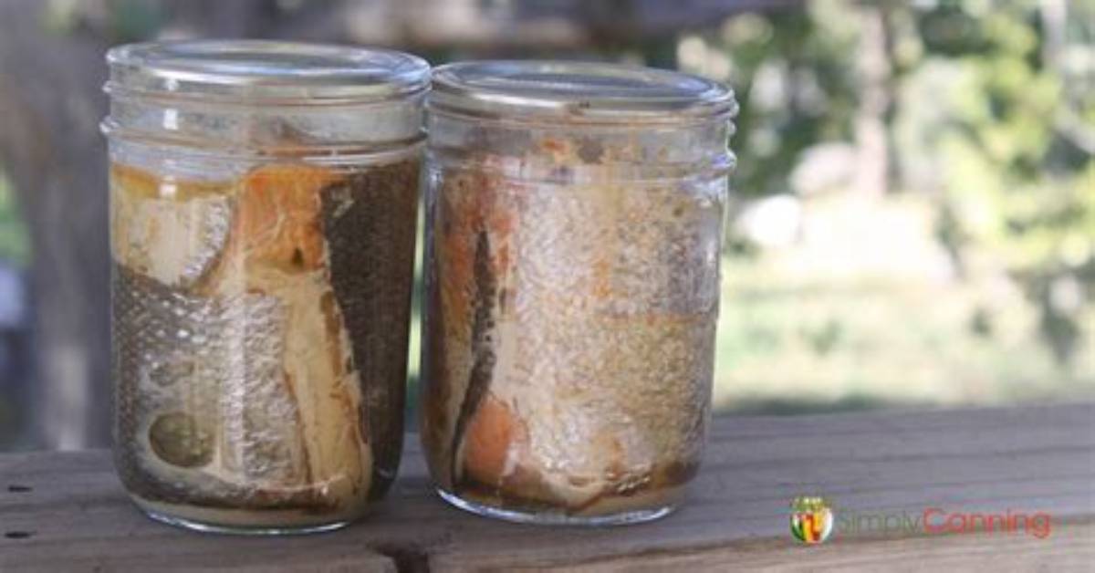How to Canning Fish?