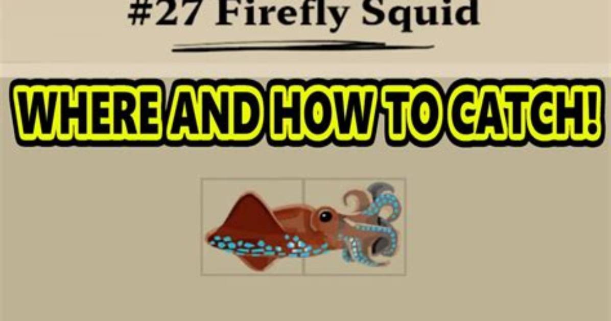How to Catch a Firefly Squid in Acnh