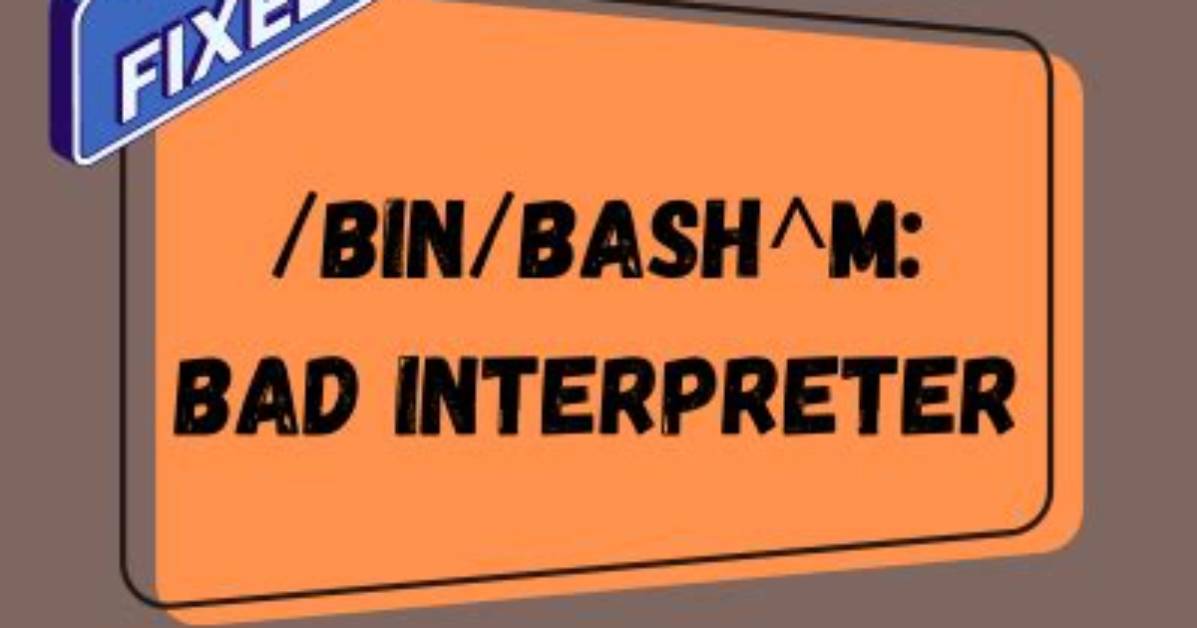 How to Catch /Bin/Bash: Bad Interpreter Error
