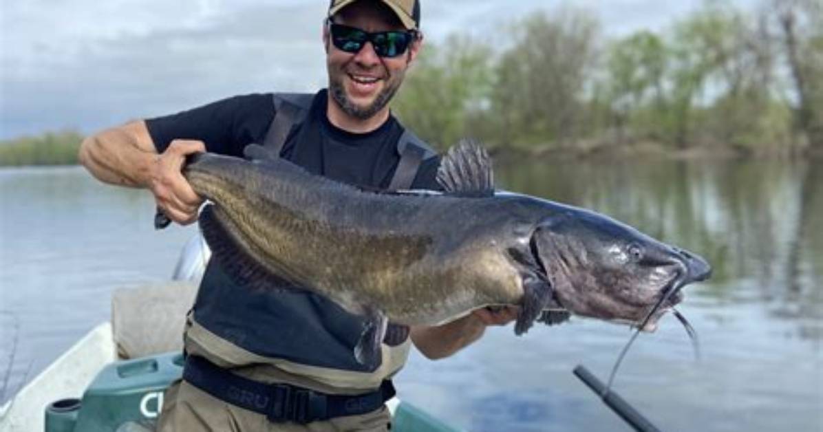 How to Catch Catfish?