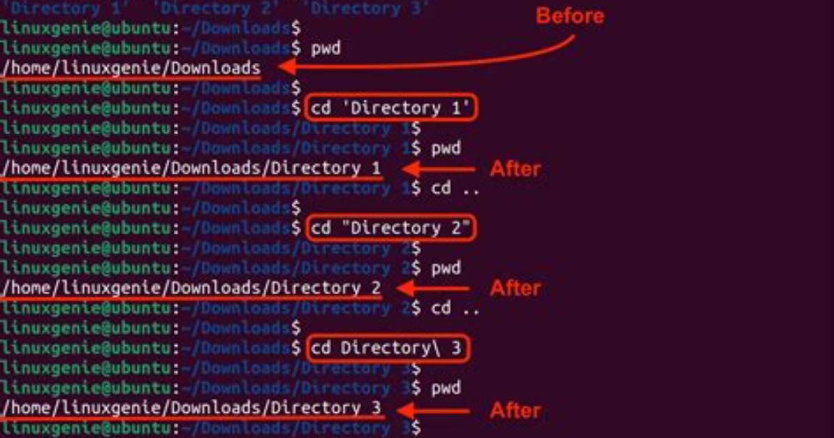 How to Change Dir in Linux?