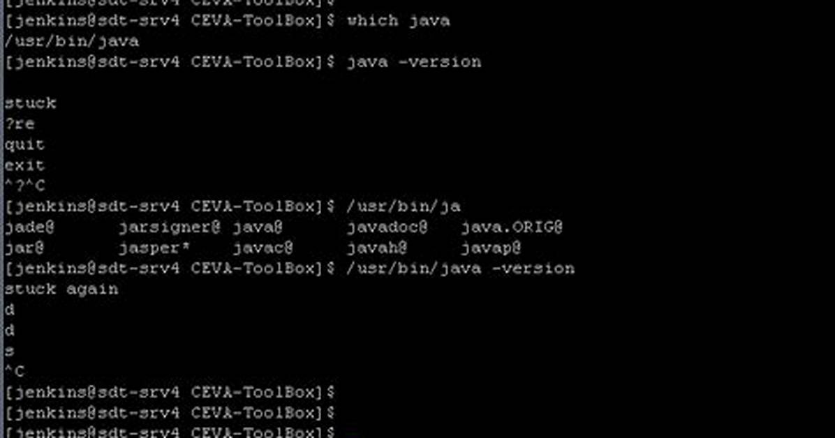 How to Check Java Version in Linux?