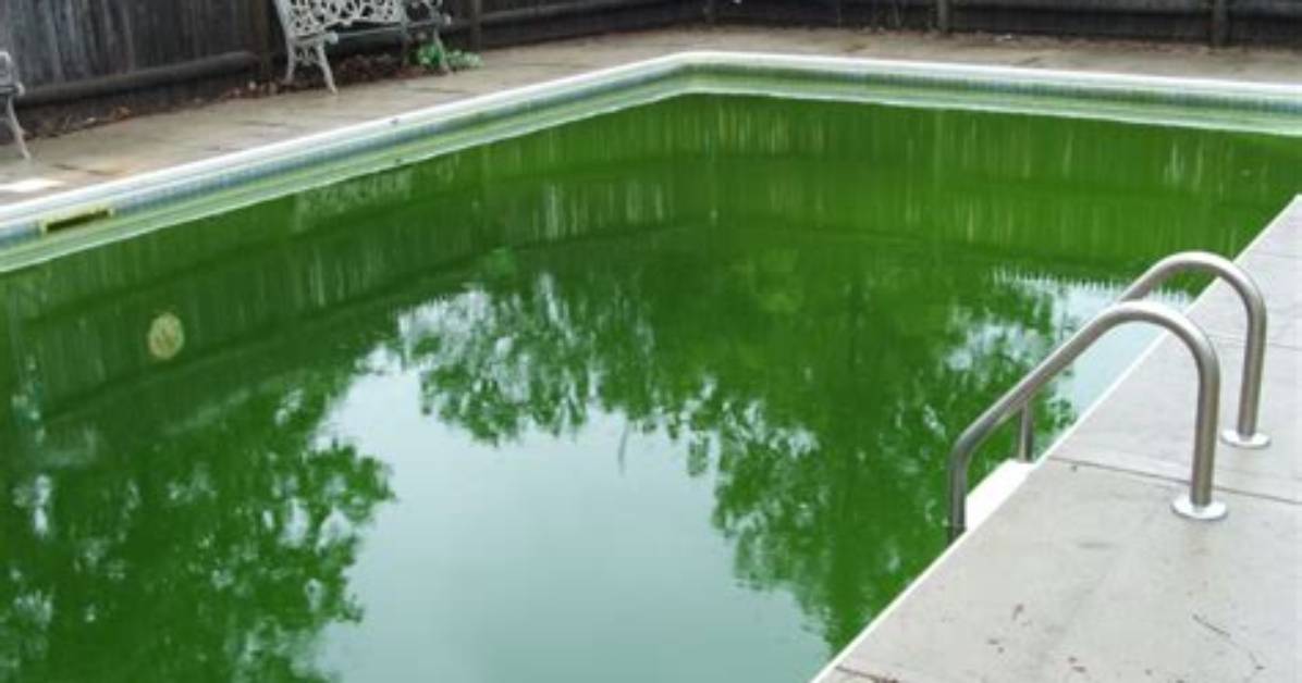 How to Clean a Green Pool with a Magic Eraser