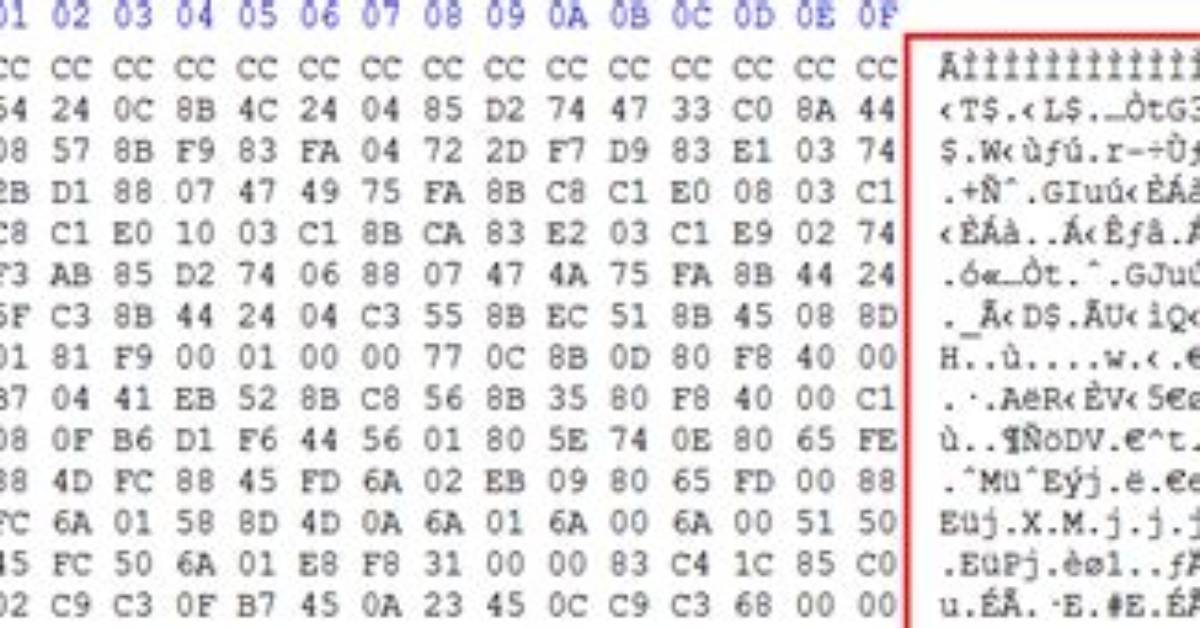 How to Compare the Java Byte[] Array?