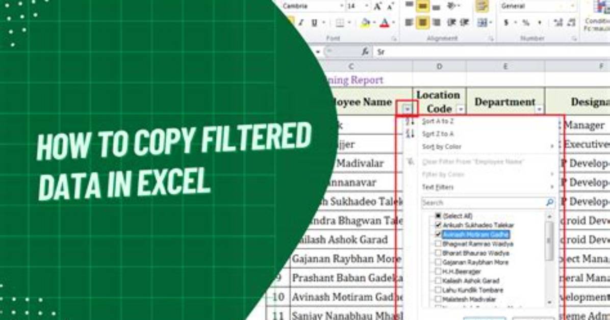 How to Copy Filtered Data in Excel?