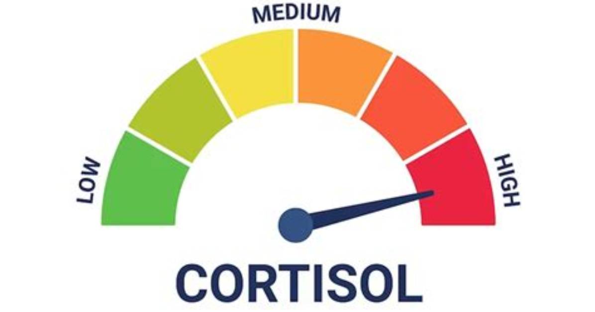 How to Cortisol Levels?