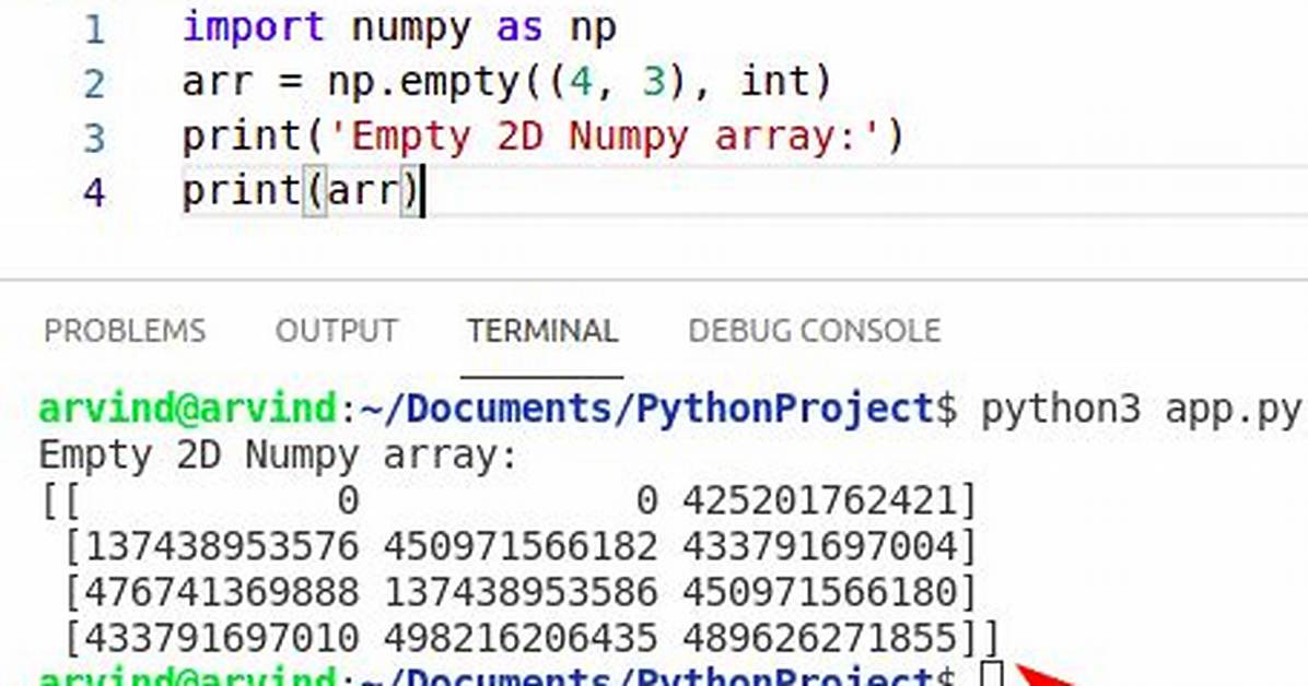 How to Create an Empty 2D Numpy Array