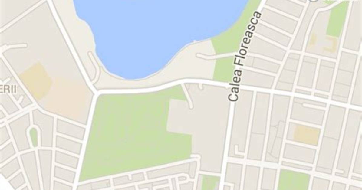 How to Create Google Map in Android Studio
