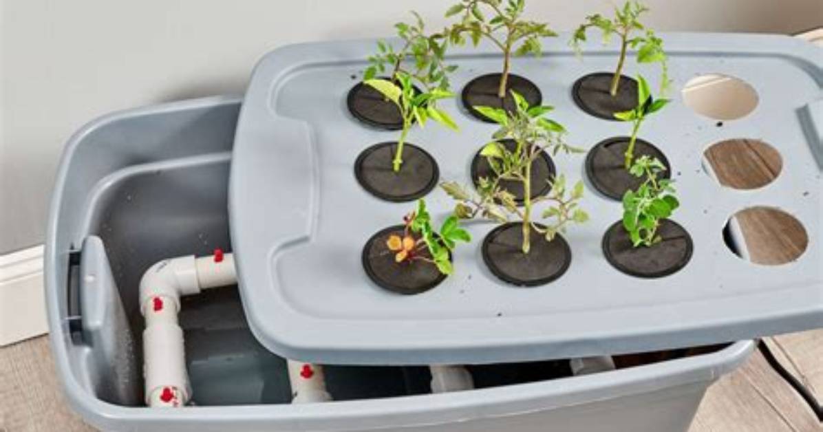 How to Create Your Own Diy Hydroponic Garden at Home
