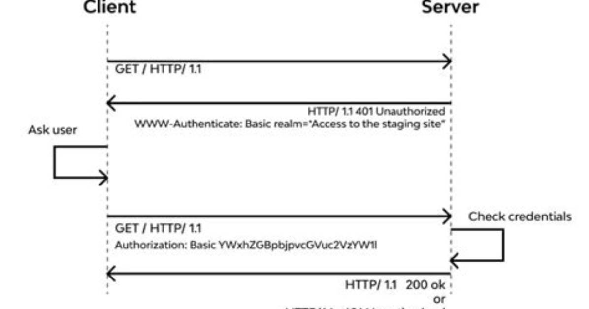 How to Define the Basic Http Authentication Using cURL Correctly?