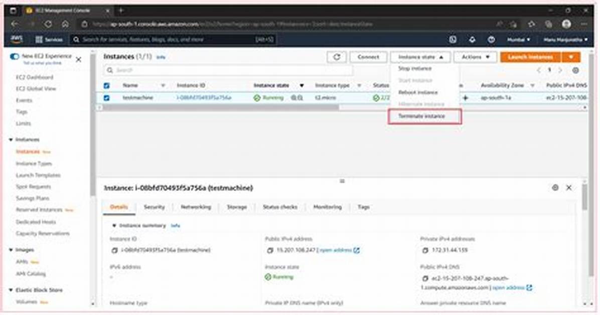 How to Delete Instance in Ec2?
